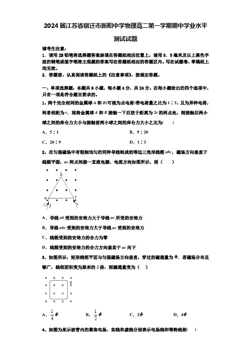 2024届江苏省宿迁市新阳中学物理高二第一学期期中学业水平测试试题含解析