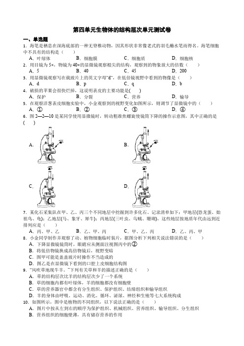 第四单元生物体的结构层次单元测试卷