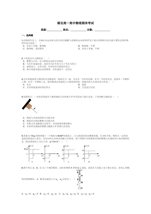 湖北高一高中物理期末考试带答案解析
