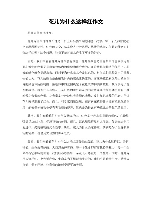 花儿为什么这样红作文