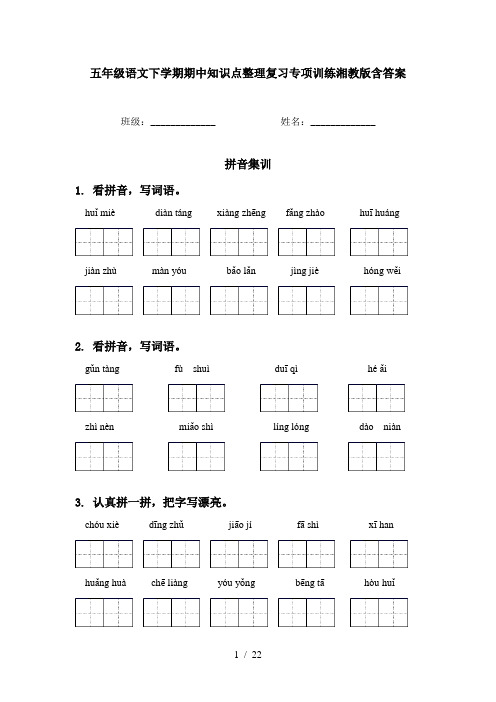 五年级语文下学期期中知识点整理复习专项训练湘教版含答案