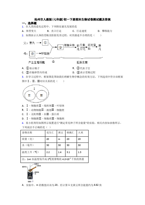 沧州市人教版(七年级)初一下册期末生物试卷测试题及答案