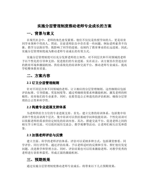 实施分层管理制度推动教师专业成长的方案