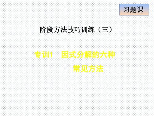 人教版八年级上册数学 专训1 因式分解的六种