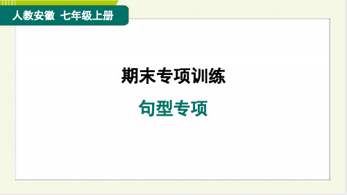 2024年人教版七年级上册英语期末复习句型专项