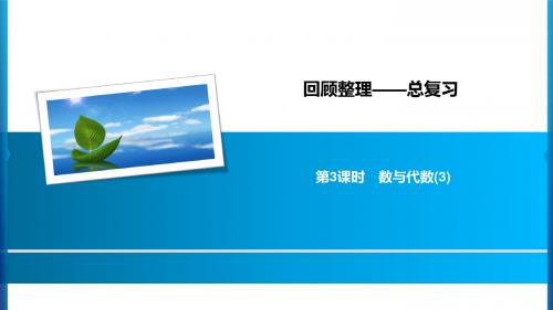 2020年五年级下册数学习题课件-总复习 第3课时数与代数(3) 青岛版(共9张PPT)