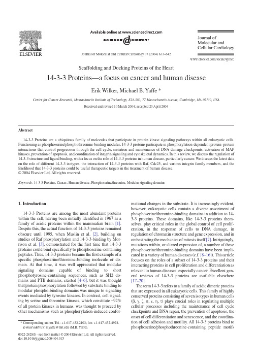 14-3-3 Proteins—a focus on cancer and human disease