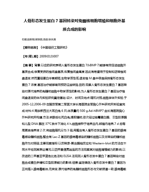 人骨形态发生蛋白7基因转染对兔髓核细胞增殖和细胞外基质合成的影响