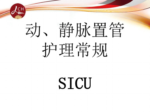 动静脉置管护理