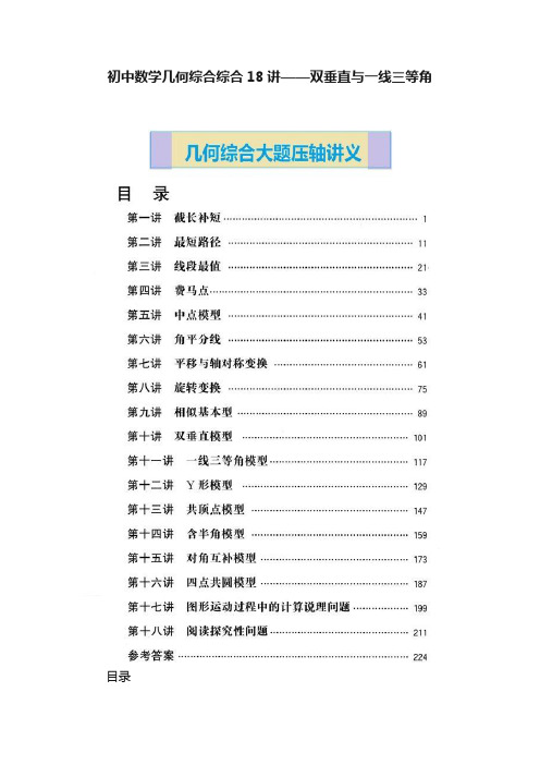 初中数学几何综合综合18讲——双垂直与一线三等角