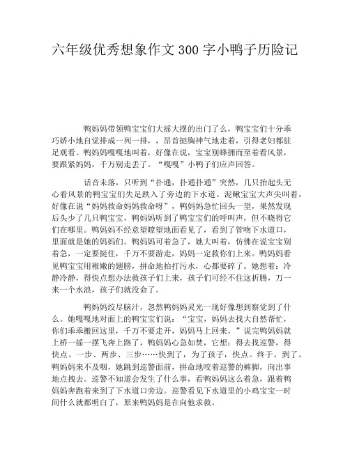 六年级优秀想象作文300字小鸭子历险记