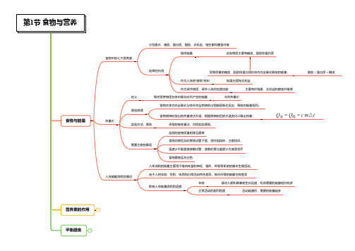 代谢与平衡-2020-2021学年九年级科学章节知识框架思维导图(浙教版)