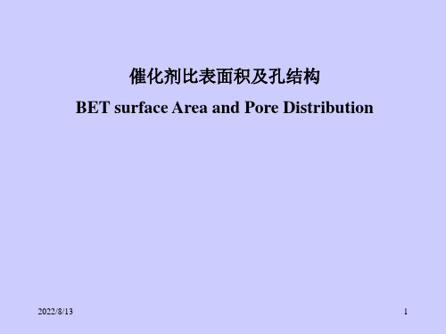 比表面和孔径分布