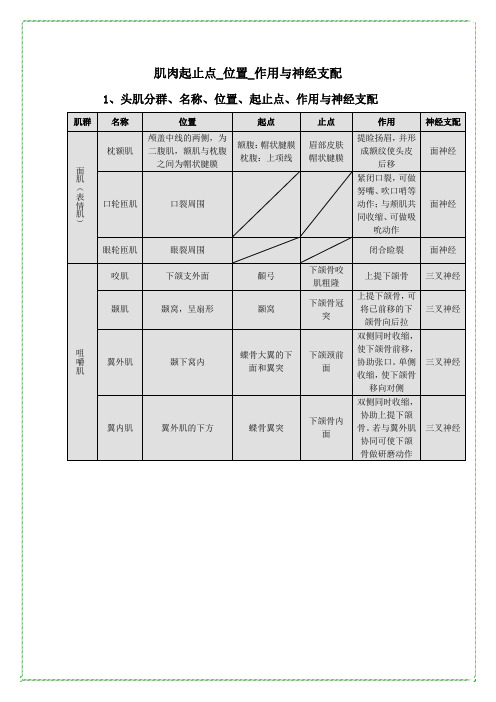 09康复肌肉起止点-作用-神经支配