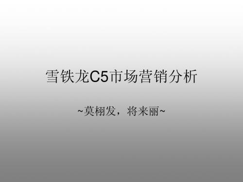 雪铁龙C5市场营销分析