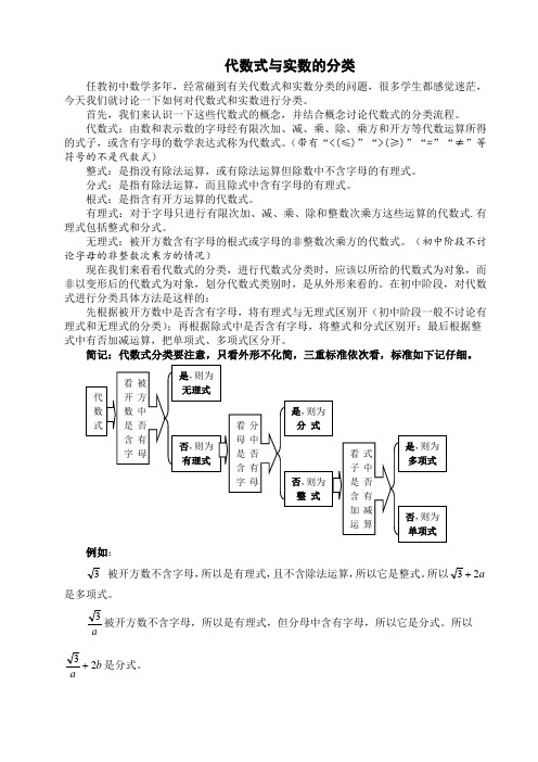 代数式与实数的分类