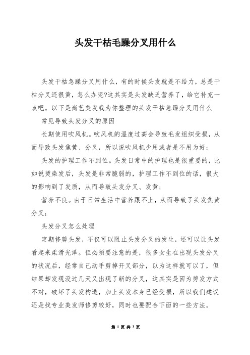 头发干枯毛躁分叉用什么