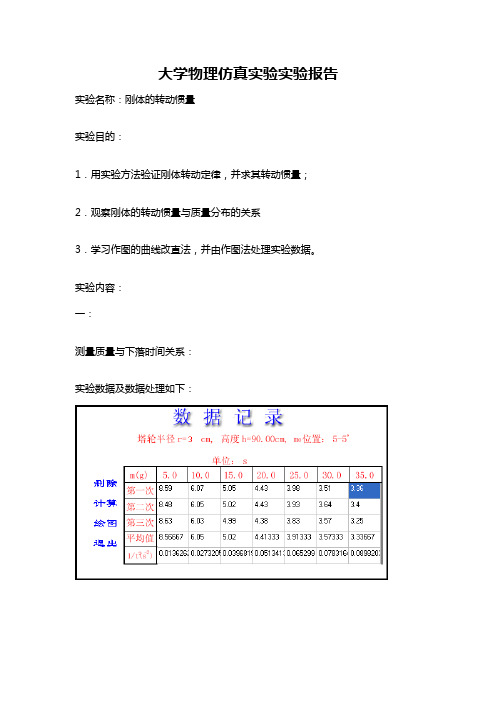 物理仿真实验报告