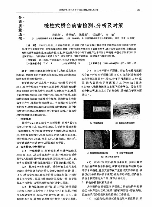 桩柱式桥台病害检测、分析及对策