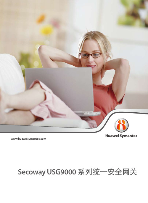 HUAWEI SecowayUSG9000系列统一安全网关 说明书