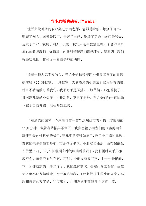 当小老师的感受,作文范文