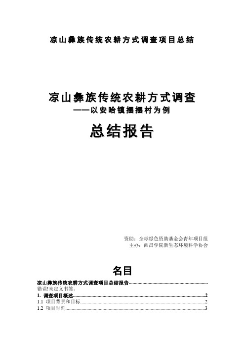 凉山彝族传统农耕方式调查项目总结