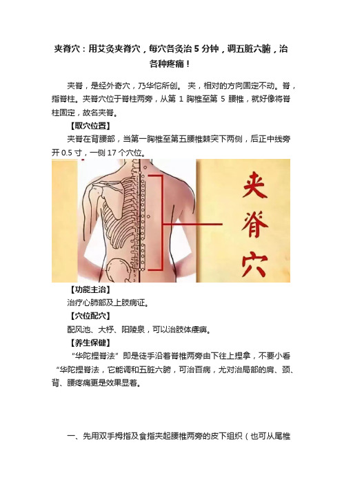 夹脊穴：用艾灸夹脊穴，每穴各灸治5分钟，调五脏六腑，治各种疼痛！