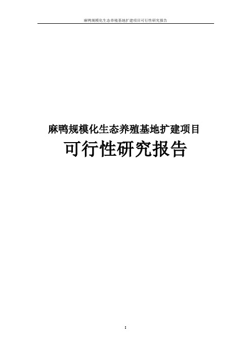 麻鸭规模化生态养殖基地扩建项目可行性立项建议报告