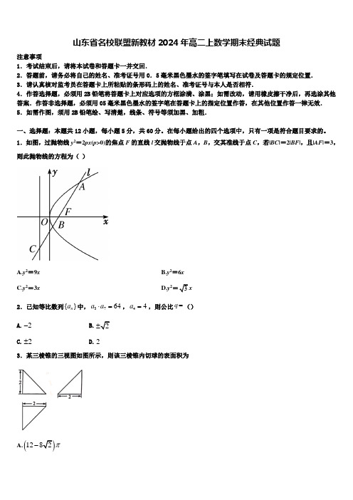 山东省名校联盟新教材2024年高二上数学期末经典试题含解析