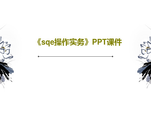 《sqe操作实务》PPT课件71页PPT