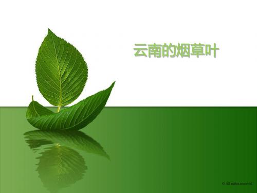 云南烟草PPT