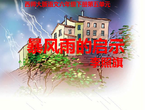 西南师大版六年级语文下册《五单元  17 暴风雨的启示》课件_16