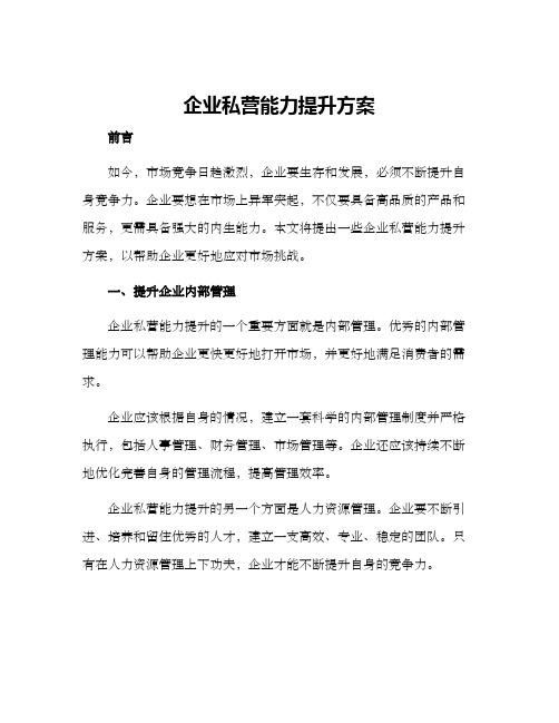 企业私营能力提升方案