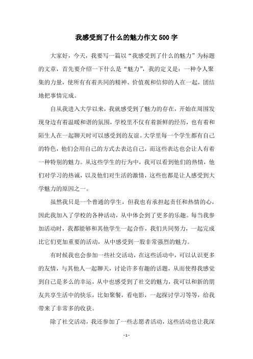 我感受到了什么的魅力作文500字