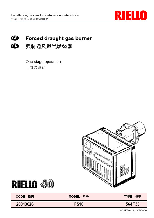 强制通风燃气燃烧器RIELLO 40 FS 10安装, 使用以及维护说明书