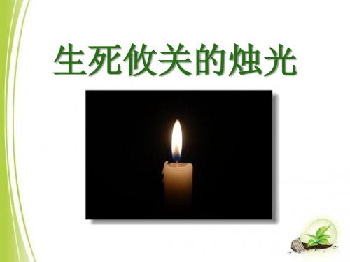 《生死攸关的烛光》说课ppt