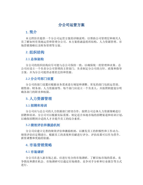 分公司运营方案