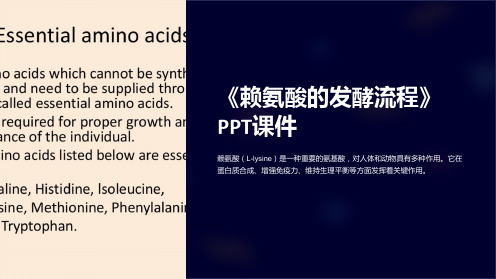 《赖氨酸的发酵流程》课件