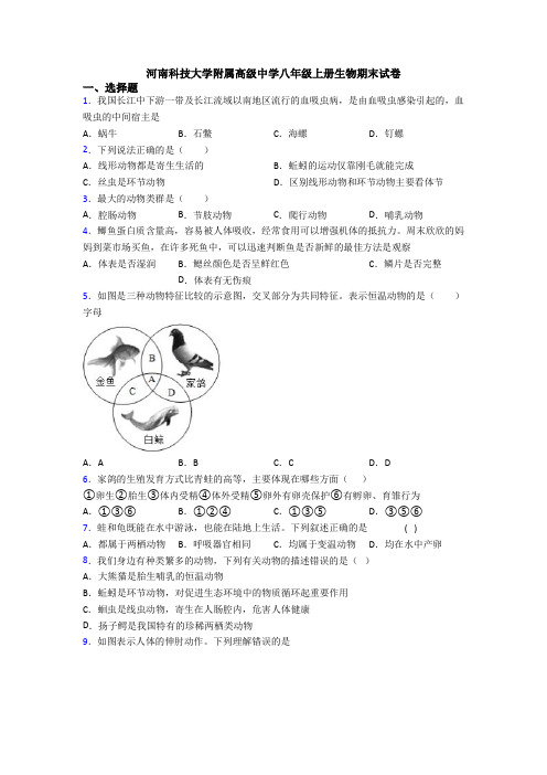 河南科技大学附属高级中学八年级上册生物期末试卷