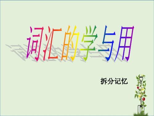词汇分解记忆法