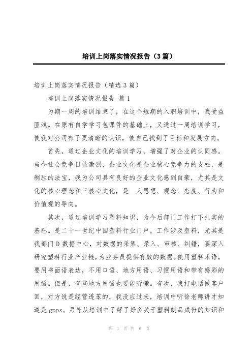 培训上岗落实情况报告(3篇)