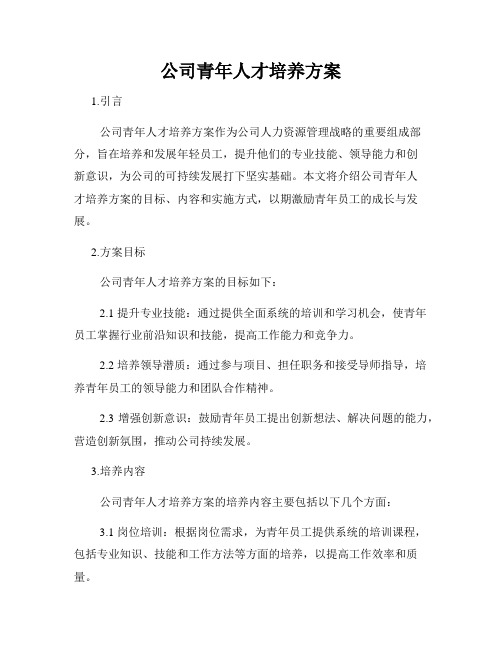 公司青年人才培养方案