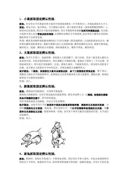 湖北省动物实验操作方法