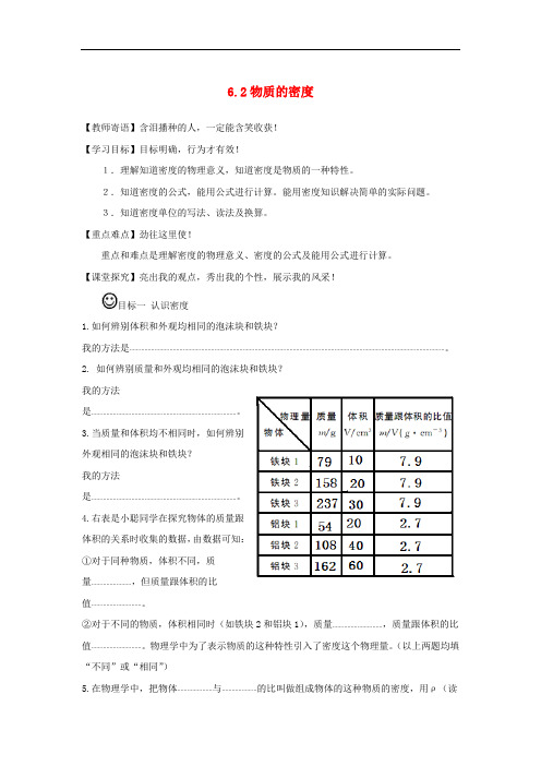 教科初中物理八上《6.2物体的密度》word教案 (2)