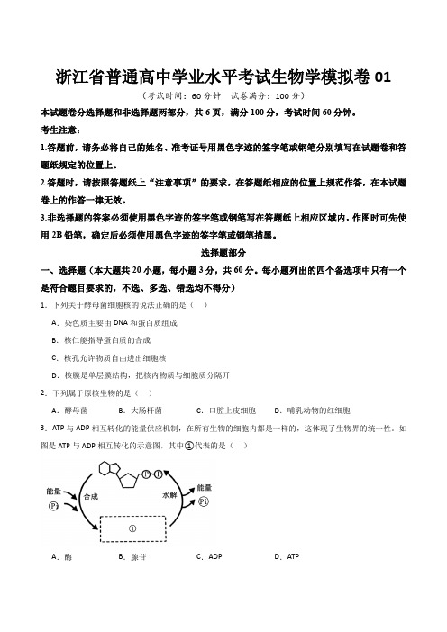 浙江省普通高中学业水平考试生物学模拟卷01 (原卷版)_1