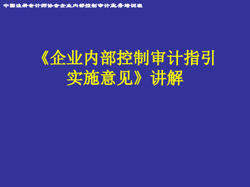 企业内部控制审计指引实施意见