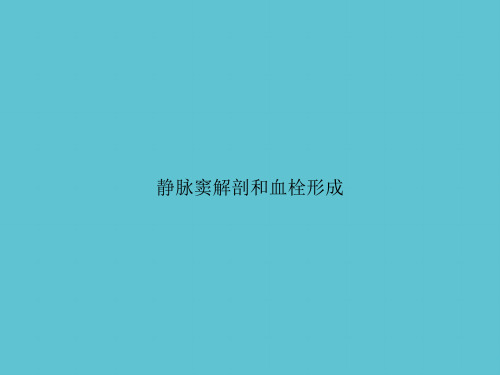 【实用】静脉窦解剖和血栓形成ppt资料