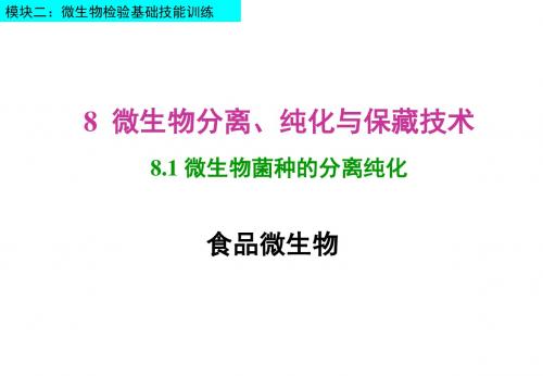 食品微生物8  微生物分离、纯化与保藏技术