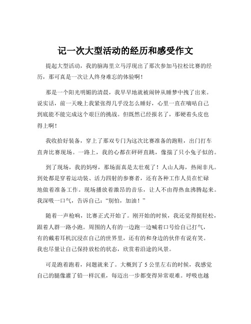 记一次大型活动的经历和感受作文