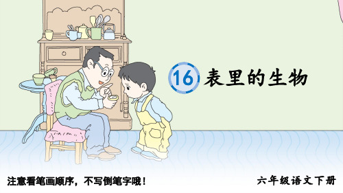 六年级语文下册课件：16 表里的生物(生字课件)-部编版(共10张PPT)